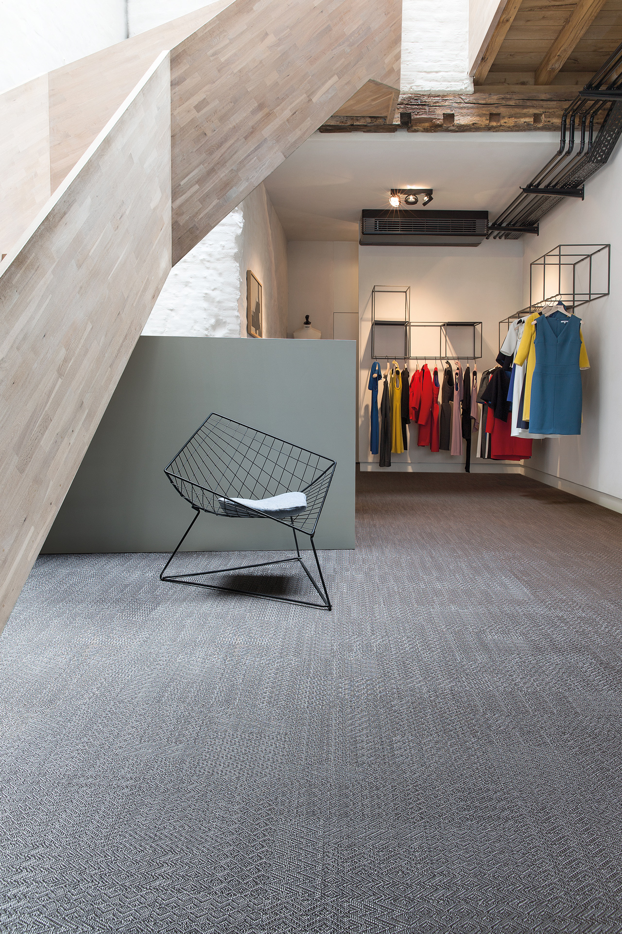 Morion Brown • Lebrahc - Belgium