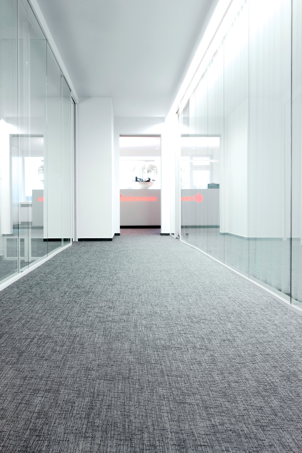 Moonless Night • Detremmerie - Belgium